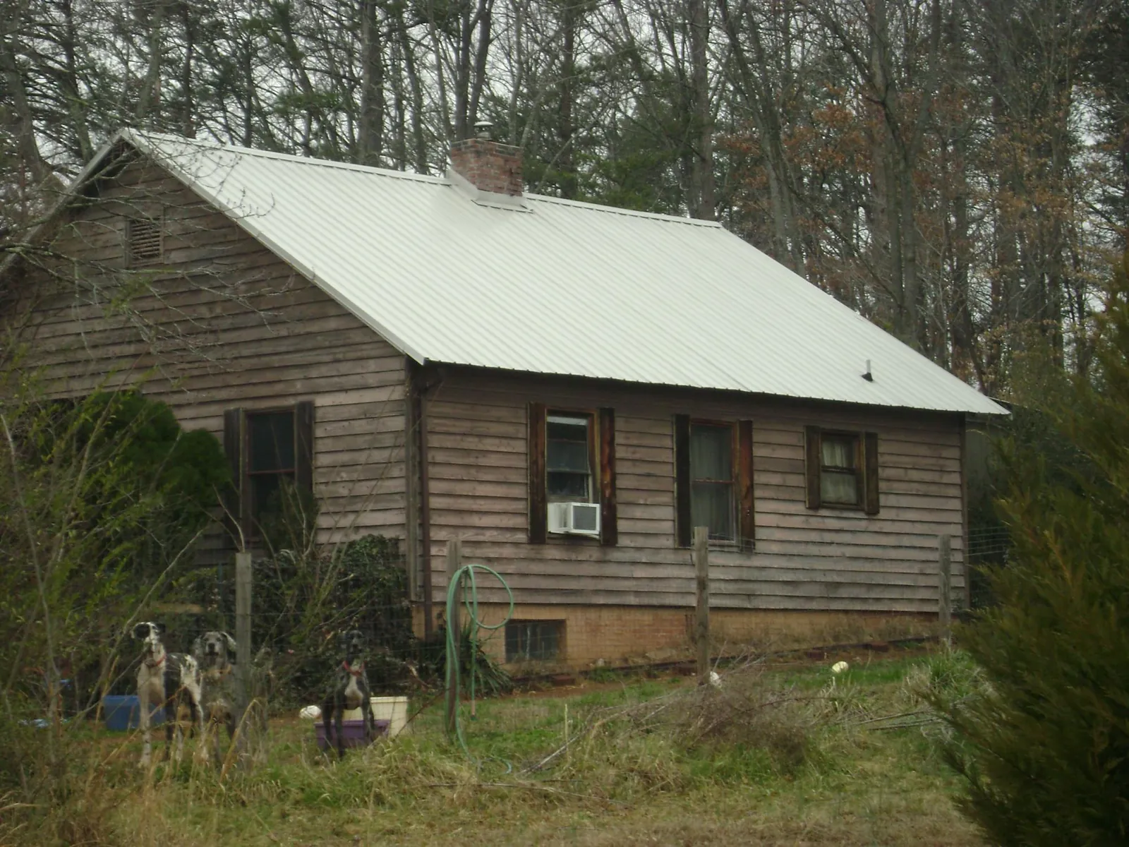 White metal roof on an old wood sided farmhouse, from a Asphalt Shingle Roof Repair job in Goddard